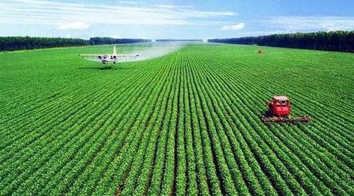2021年,苗木种植行业市场现状及规模如何 专业报告给出答案