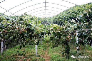 东海舰队除保卫海疆还有特殊使命 为此投入690万
