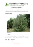 莱芜市华荣绿化苗木种植专业合作社专业资料大全 精品花卉种植文库