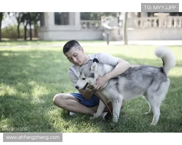 爱犬的奇迹:生命中最温暖的救赎 爱犬的奇迹:生命中最温暖的救赎